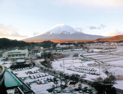 画像:特選