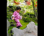 画像:入選