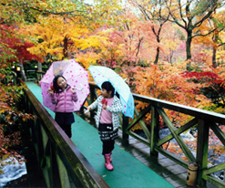 画像:特選